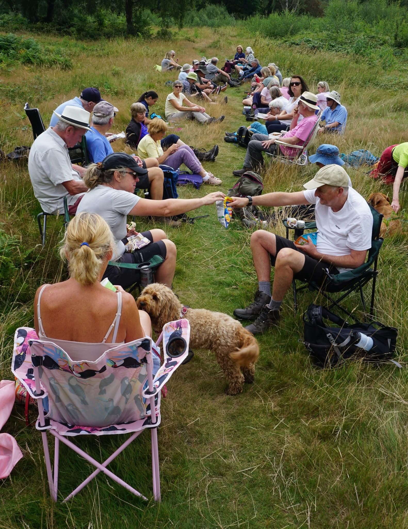 picnic